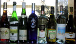 travelersclub001016.jpg